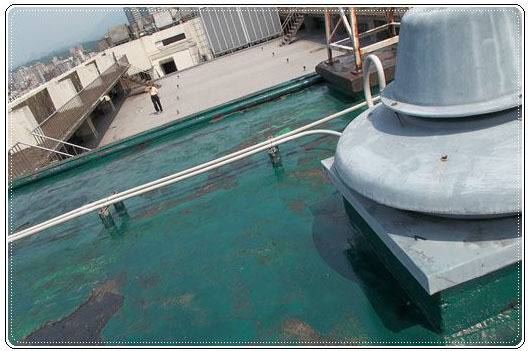 防水 - 抓漏 - 外牆防水